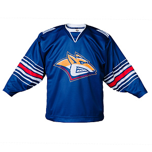 Свитер сублимация "Металлург" 25/26 Домашний