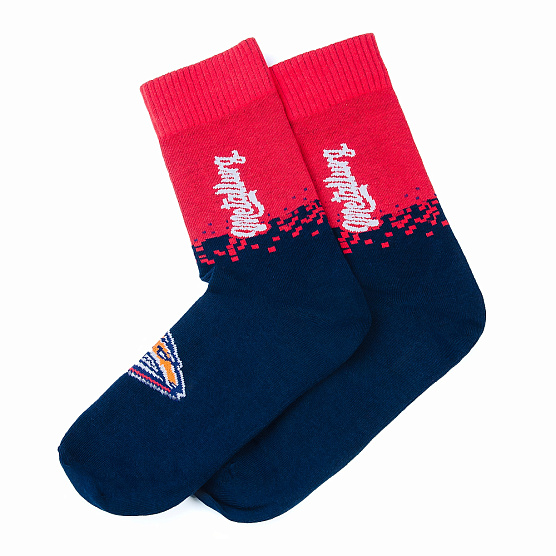 Носки "Металлург" 2503